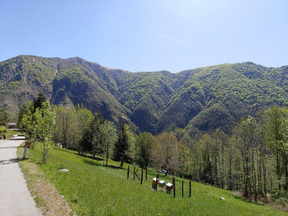 Ostello Del Parco Di Cicogna Kültér fotó