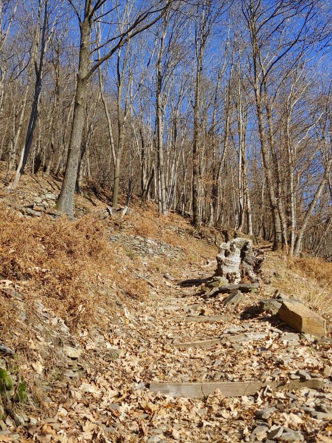 Ostello Del Parco Di Cicogna Kültér fotó